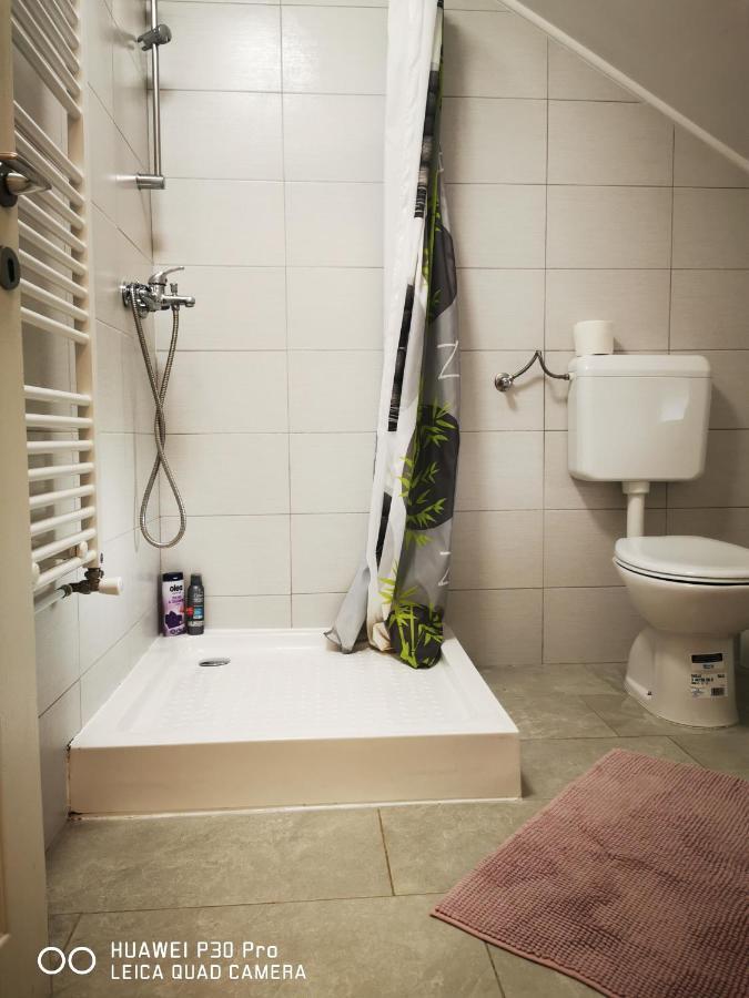 Vila Julija - Apartment & Rooms Otočac Esterno foto