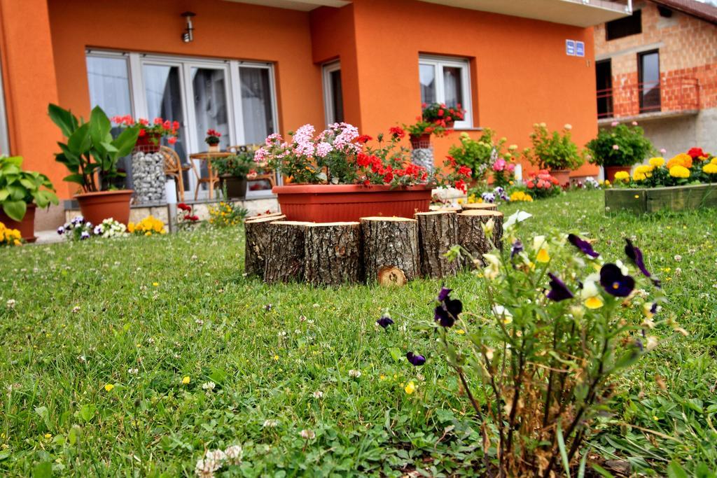 Vila Julija - Apartment & Rooms Otočac Esterno foto