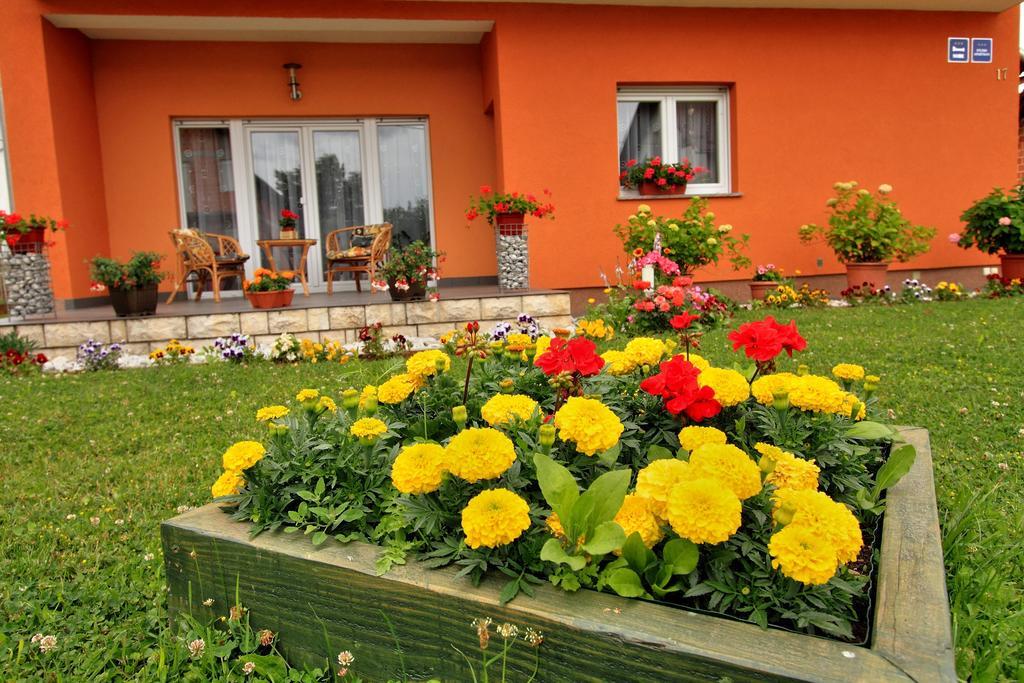 Vila Julija - Apartment & Rooms Otočac Esterno foto